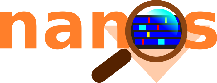 Nanos++ logo